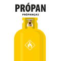 11 KG